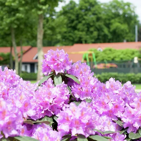 Attractive Bungalow With A Terrace At The Bedafse Bergen Uden